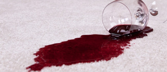 Our Carpet Cleaning Process Gets Amazing Results! Our Carpet Cleaning Process Gets Amazing Results!