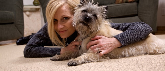 Let Us Clean Those Tough Pet Stains! Let Us Clean Those Tough Pet Stains!